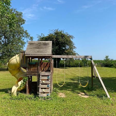 Magnifique Villa Piscine Dans Un Ecrin De Verdure Eckbolsheim Luaran gambar