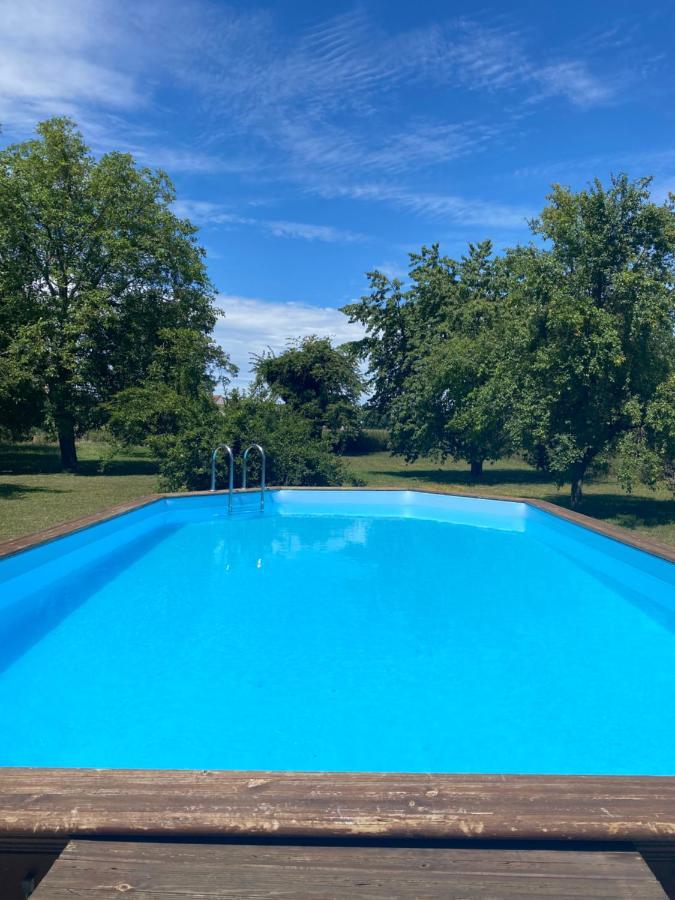 Magnifique Villa Piscine Dans Un Ecrin De Verdure Eckbolsheim Luaran gambar